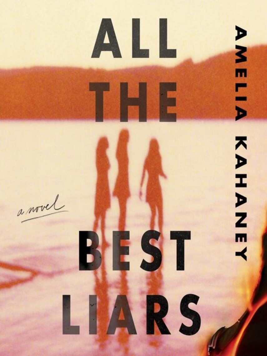 Amelia Kahaney: All the Best Liars : A Novel