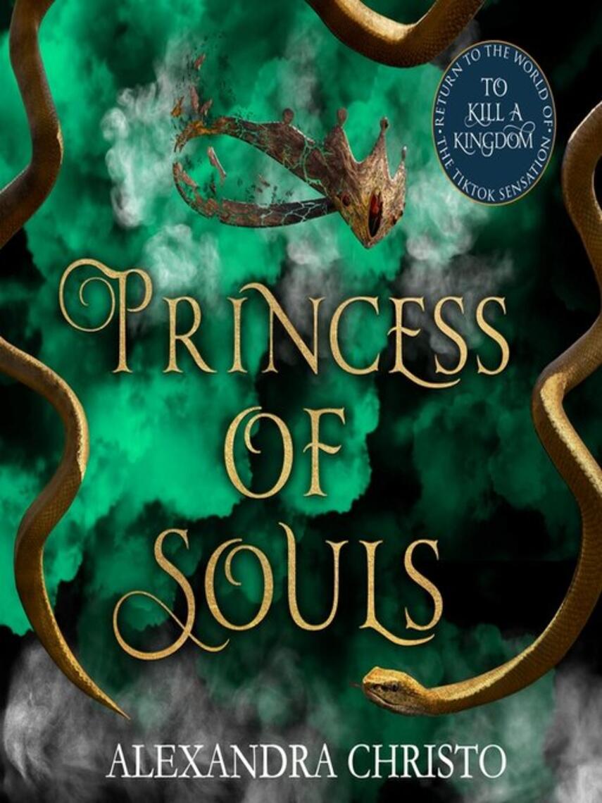 Alexandra Christo: Princess of Souls : from the author of To Kill a Kingdom, the TikTok sensation!