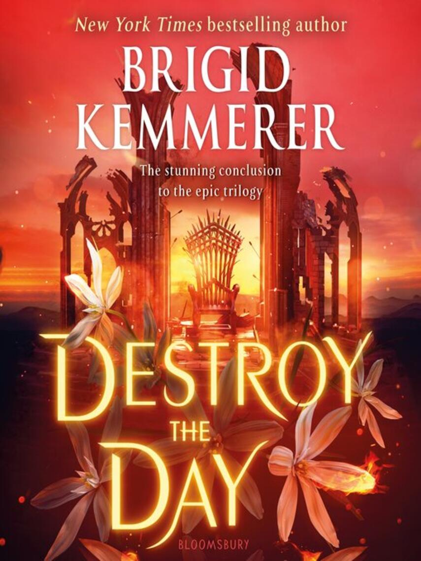 Brigid Kemmerer: Destroy the Day
