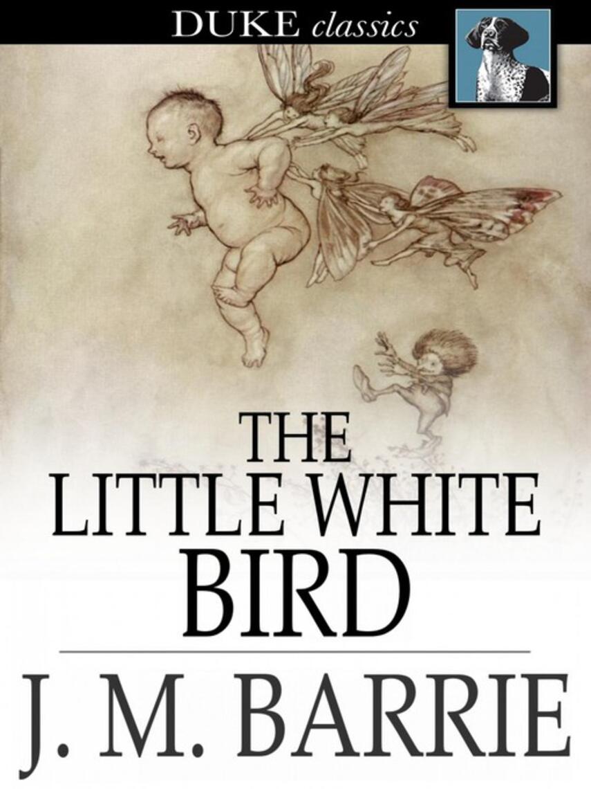 J. M. Barrie: The Little White Bird : Or, Adventures in Kensington Gardens