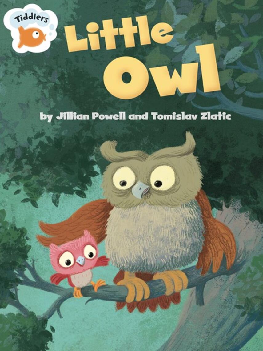 Jillian Powell: Little Owl