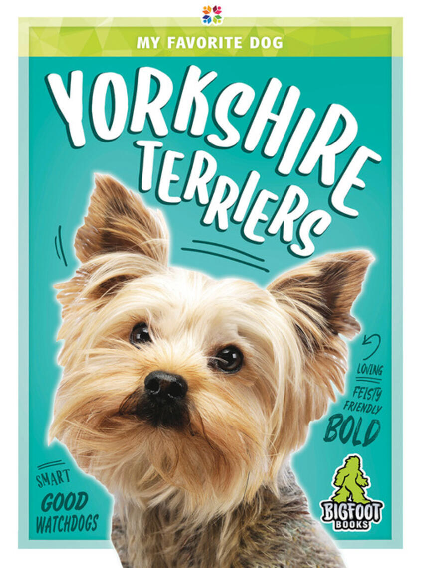 Anna Davison: Yorkshire Terriers