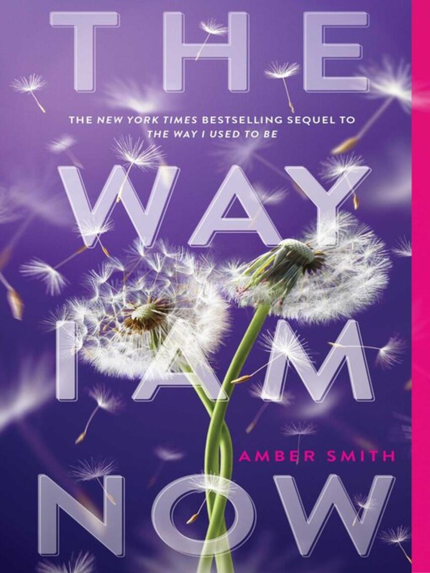 Amber Smith: The Way I Am Now