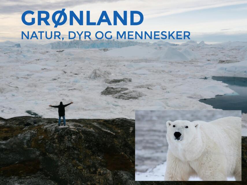 Hanne Guldberg Mikkelsen: Grønland