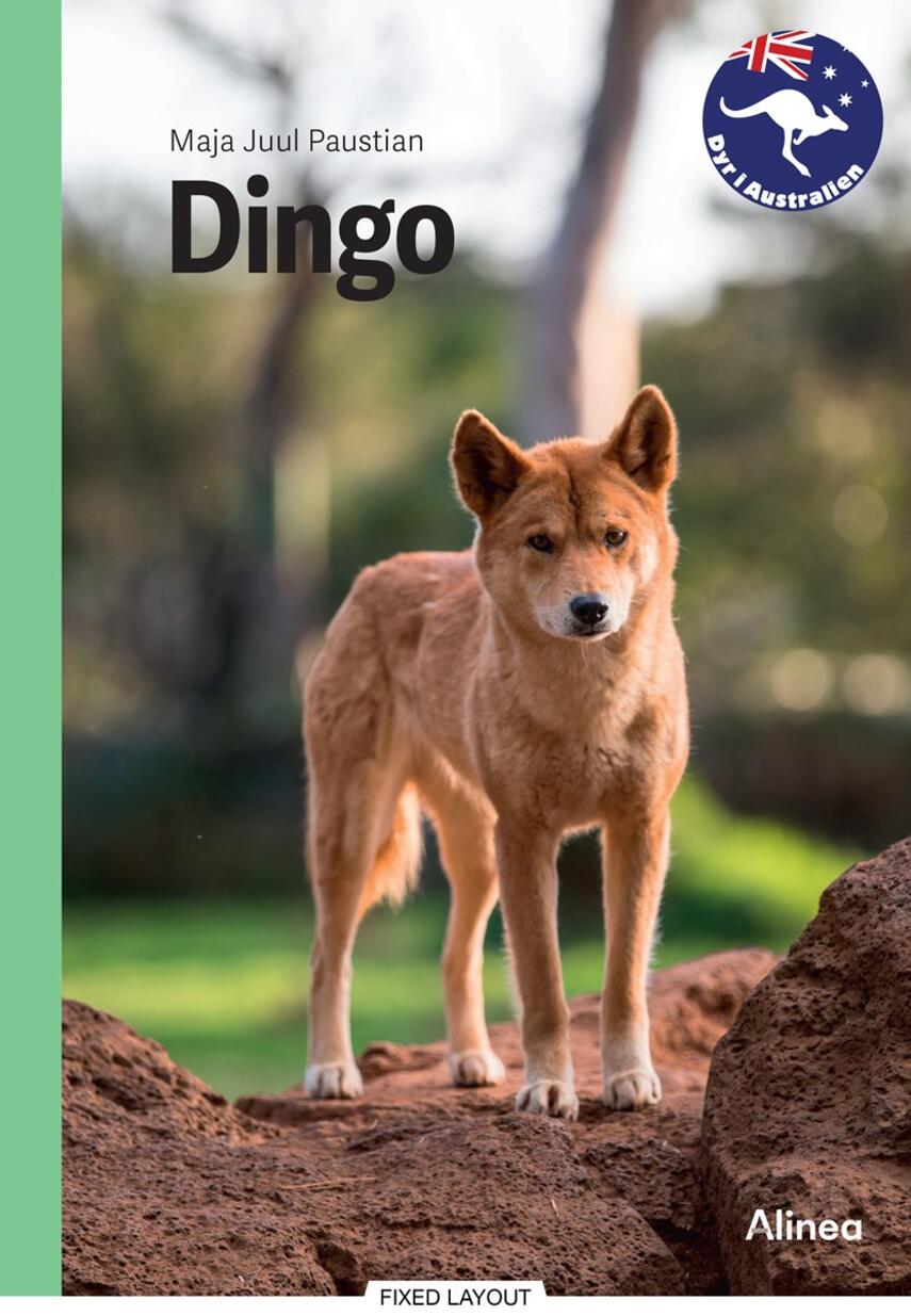 Maja Juul Paustian: Dingo