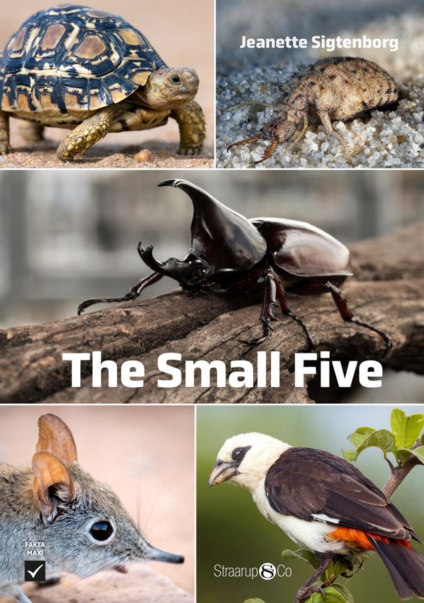 Jeanette Sigtenborg (f. 1992): The small five