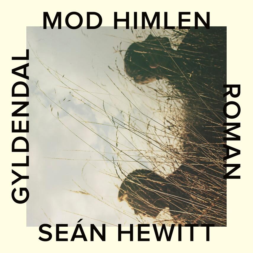 Seán Hewitt (f. 1990): Mod himlen