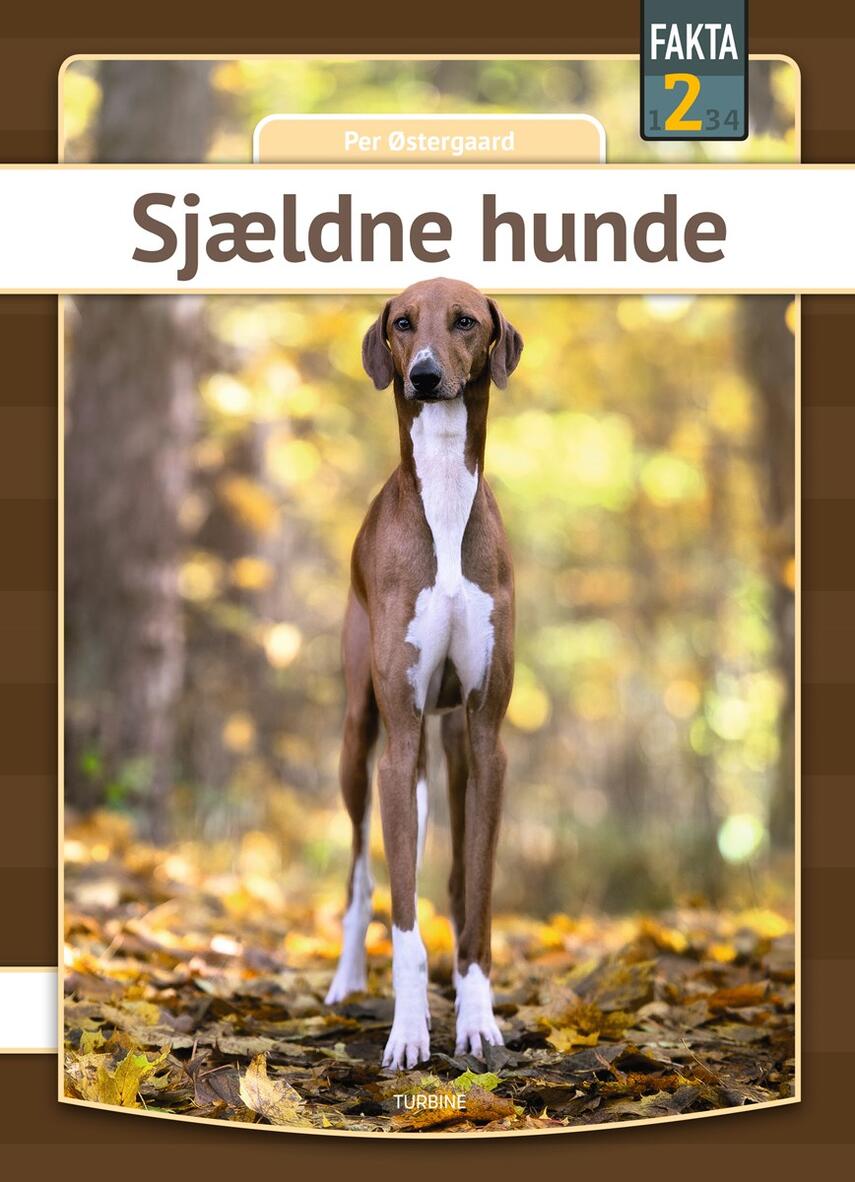 Per Østergaard (f. 1950): Sjældne hunde