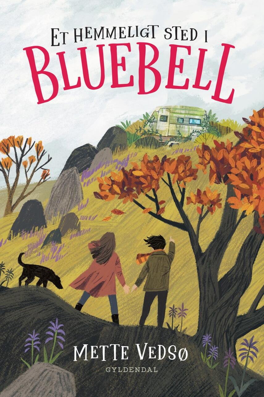 Mette Vedsø: Et hemmeligt sted i Bluebell