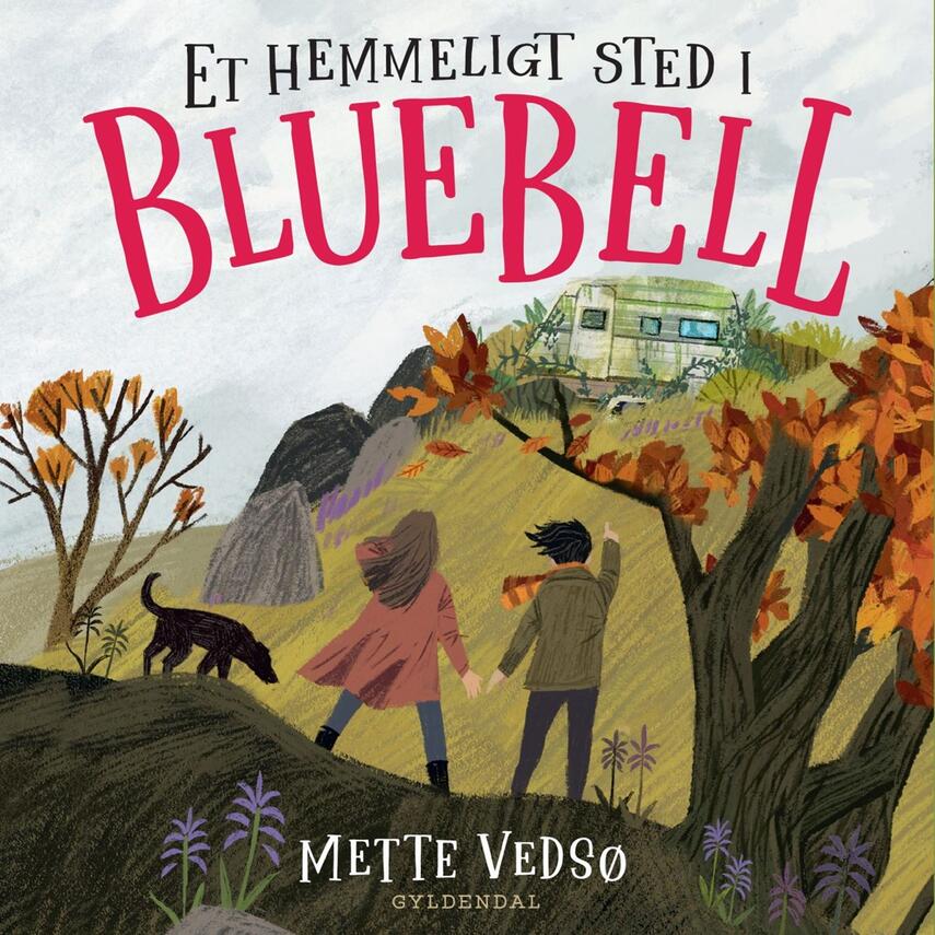 Mette Vedsø: Et hemmeligt sted i Bluebell