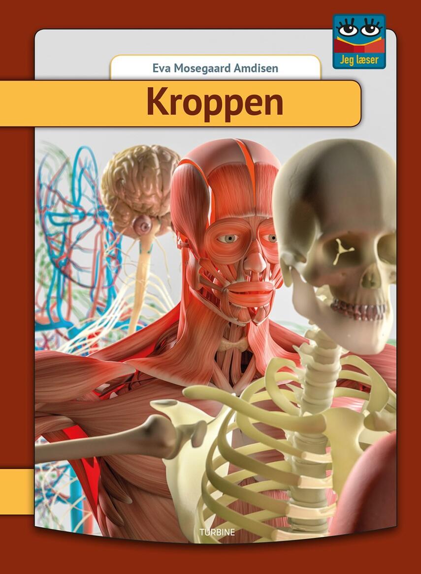 Eva Mosegaard Amdisen: Kroppen