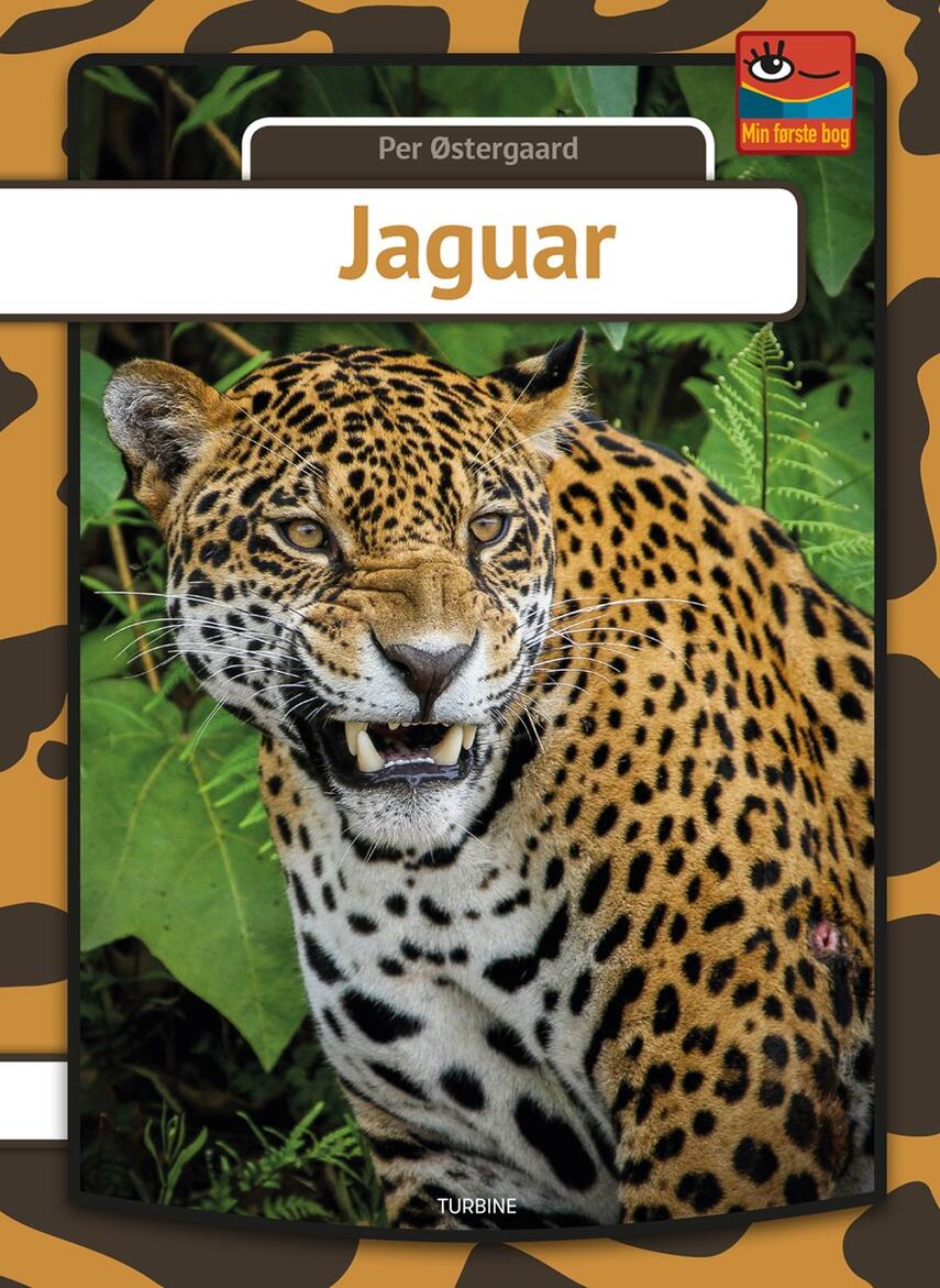 Per Østergaard (f. 1950): Jaguar