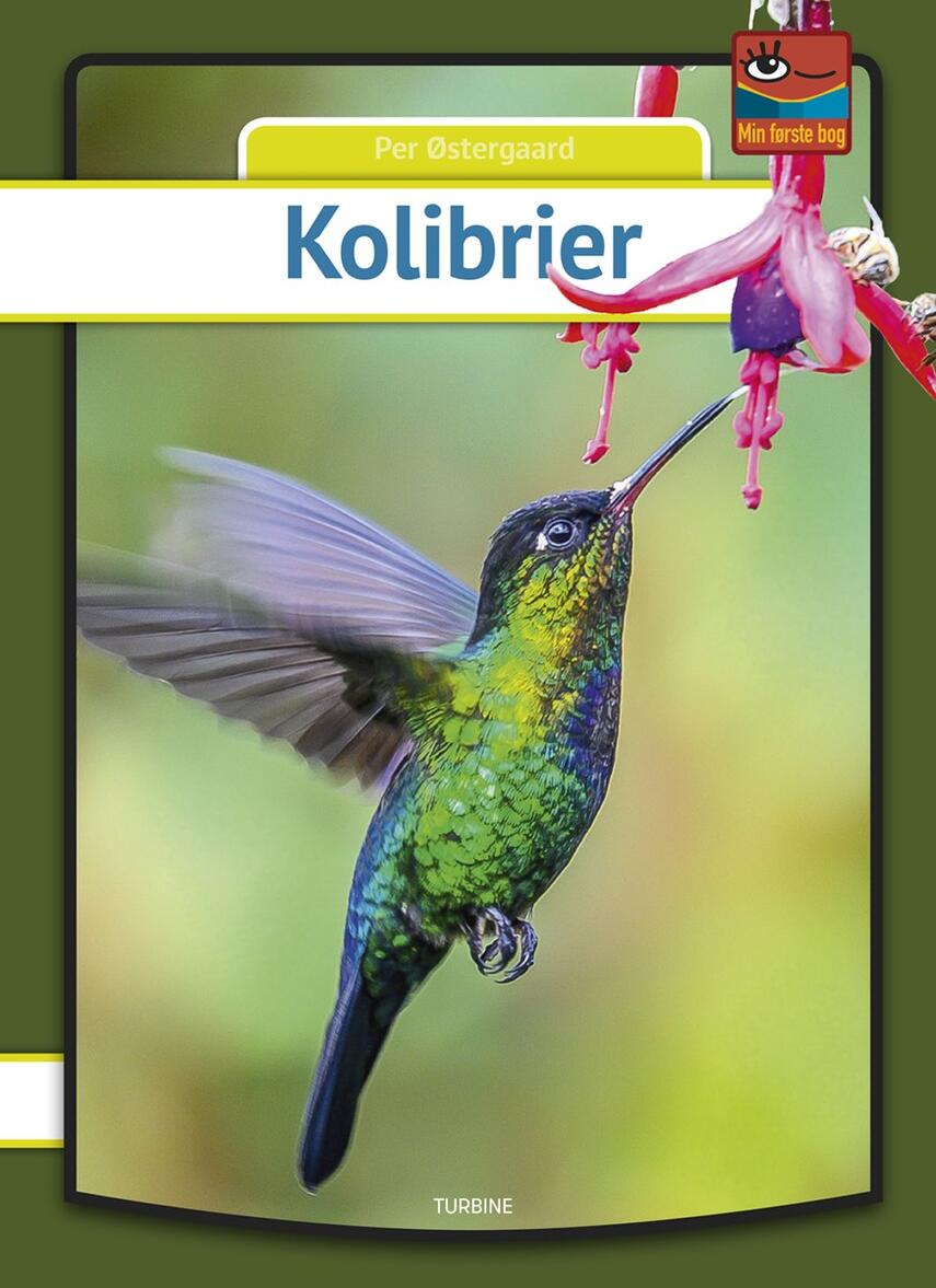 Per Østergaard (f. 1950): Kolibrier