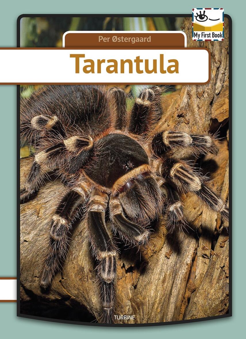 Per Østergaard (f. 1950): Tarantula