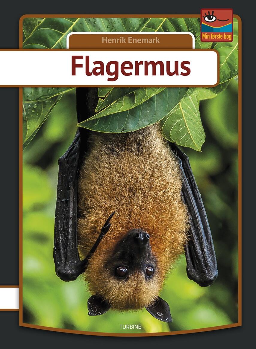 Henrik Enemark: Flagermus