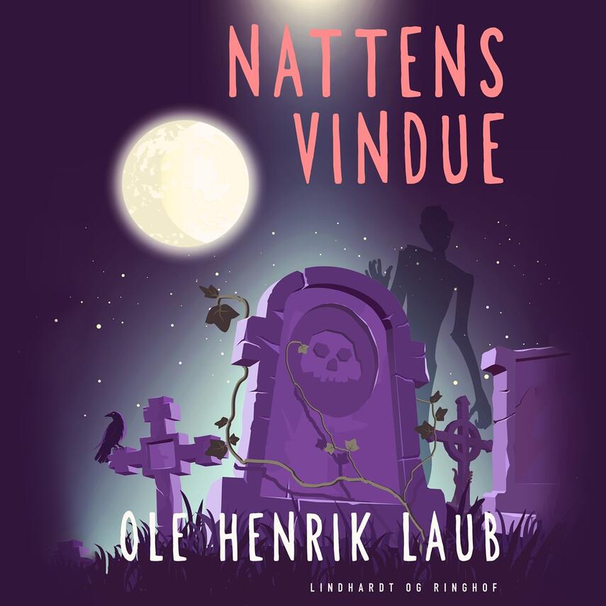 Ole Henrik Laub: Nattens vindue