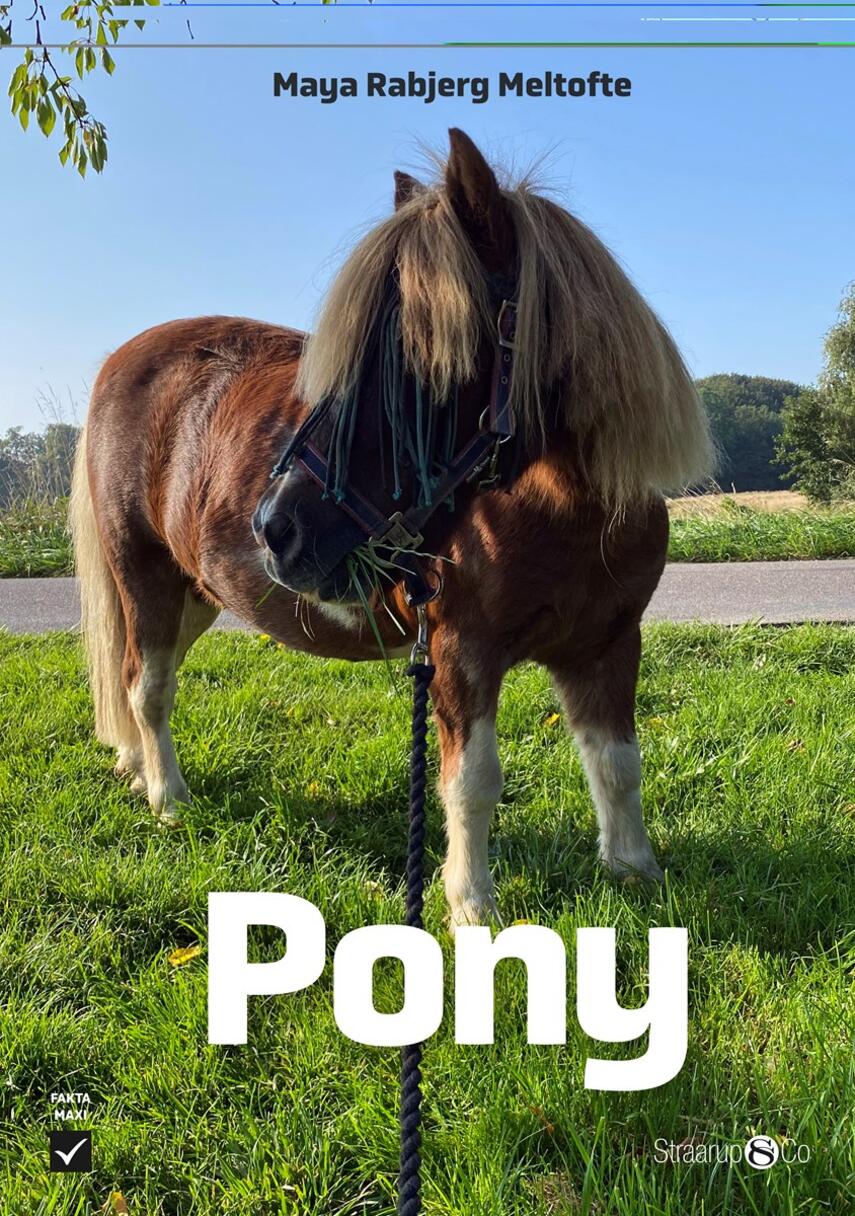 Maya Rabjerg Meltofte: Pony