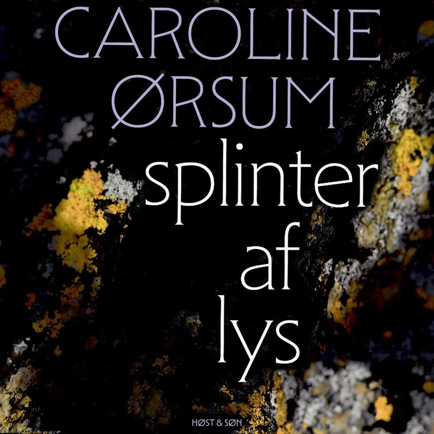 Caroline Ørsum: Splinter af lys