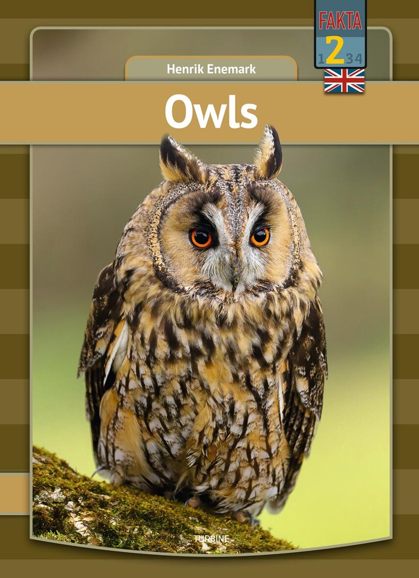Henrik Enemark: Owls
