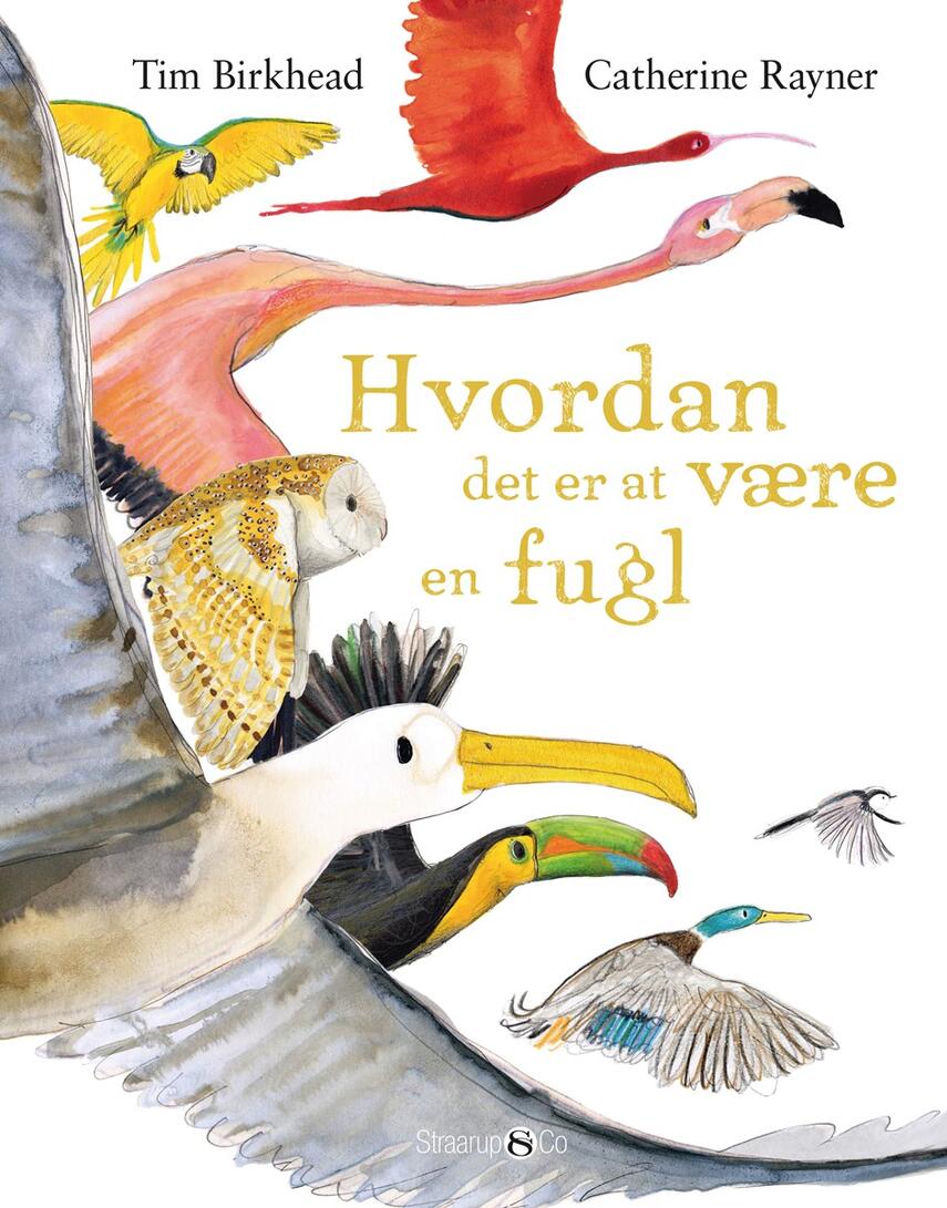 Tim Birkhead: Hvordan det er at være en fugl