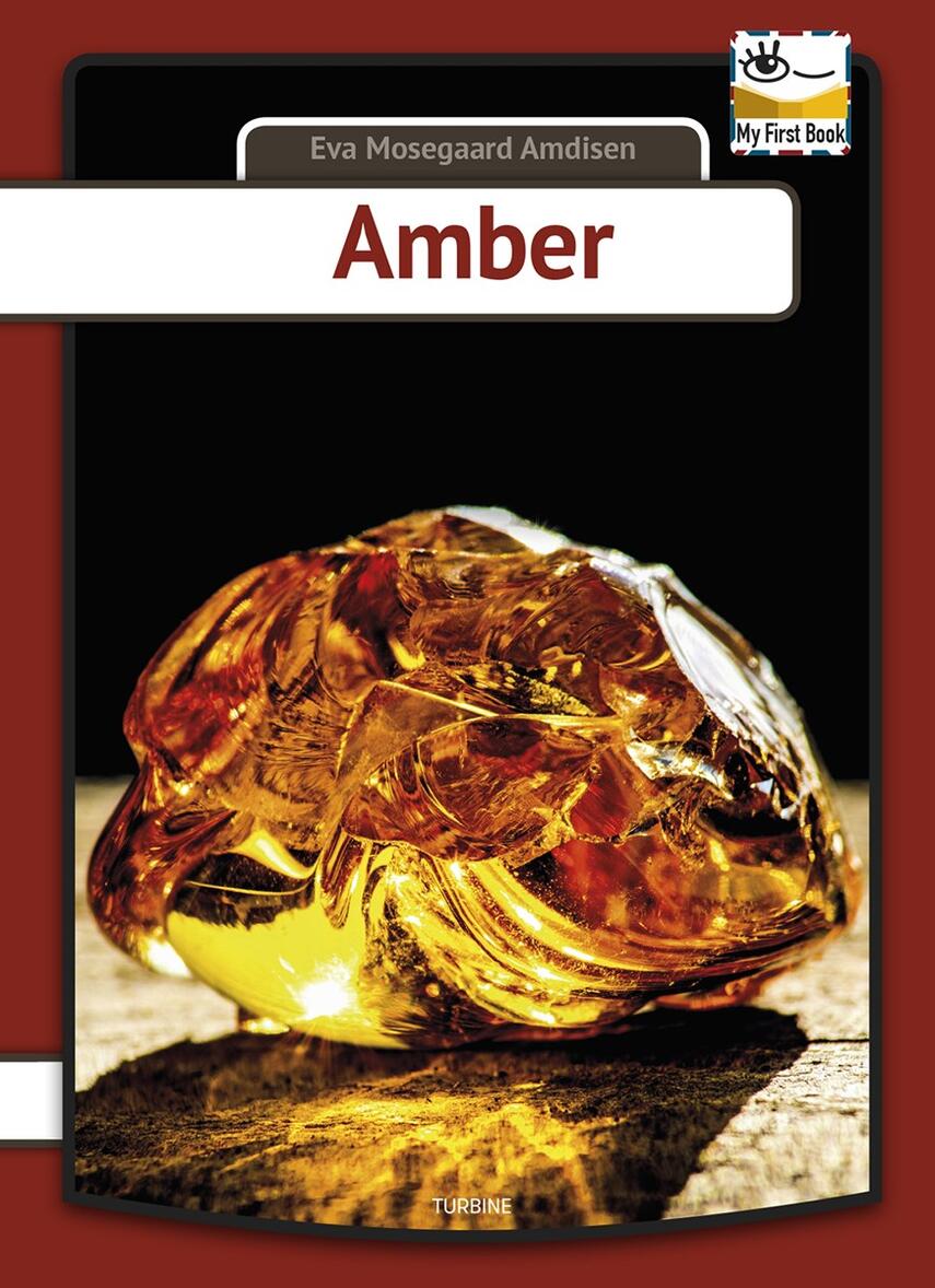 Eva Mosegaard Amdisen: Amber