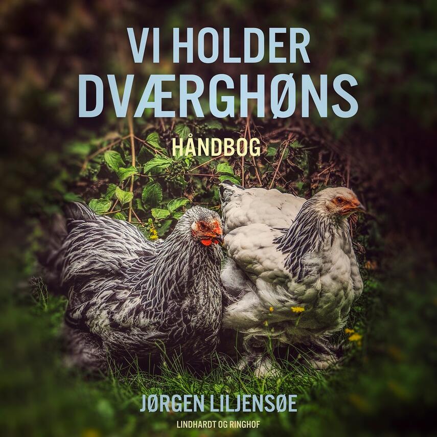 Jørgen Liljensøe: Vi holder dværghøns