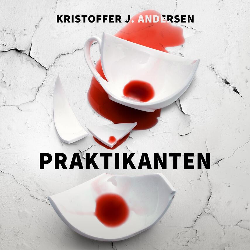 Kristoffer Jacob Andersen: Praktikanten