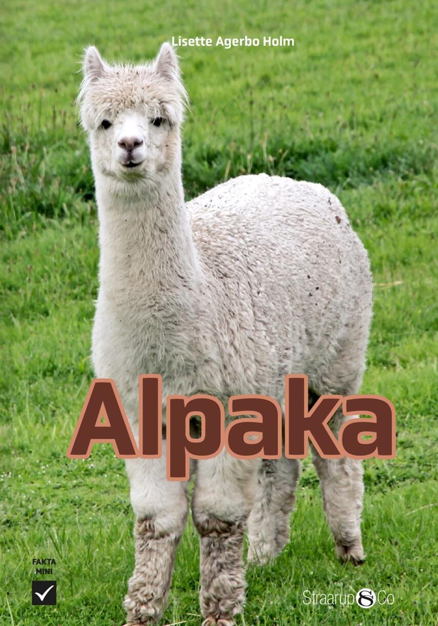 Lisette Agerbo Holm: Alpaka