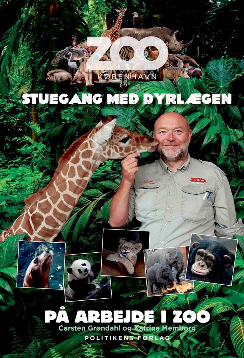 Katrine Memborg, Carsten Grøndahl (f. 1962): På arbejde i Zoo