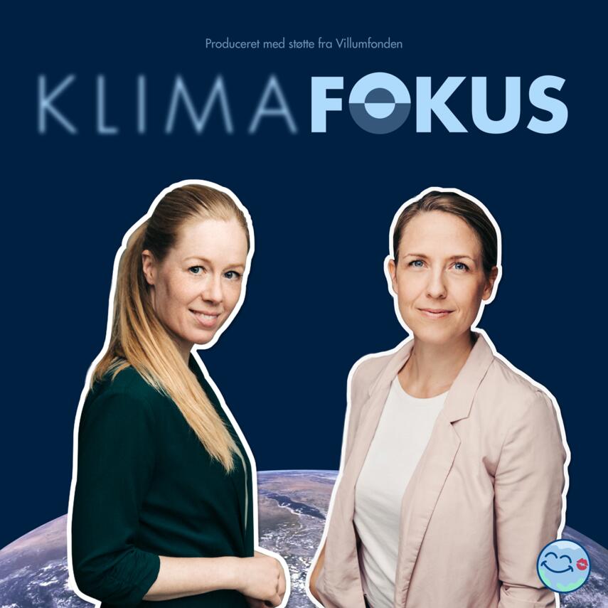 : Kollektiv klimakamp