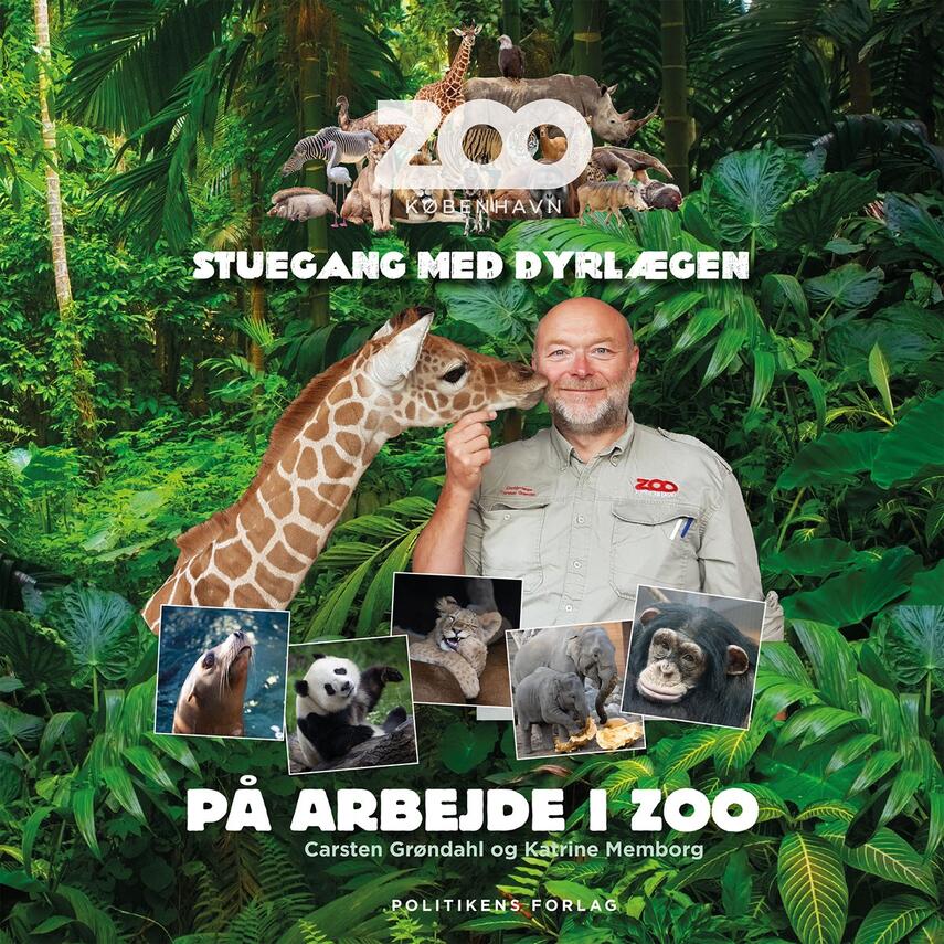 Katrine Memborg, Carsten Grøndahl (f. 1962): På arbejde i Zoo