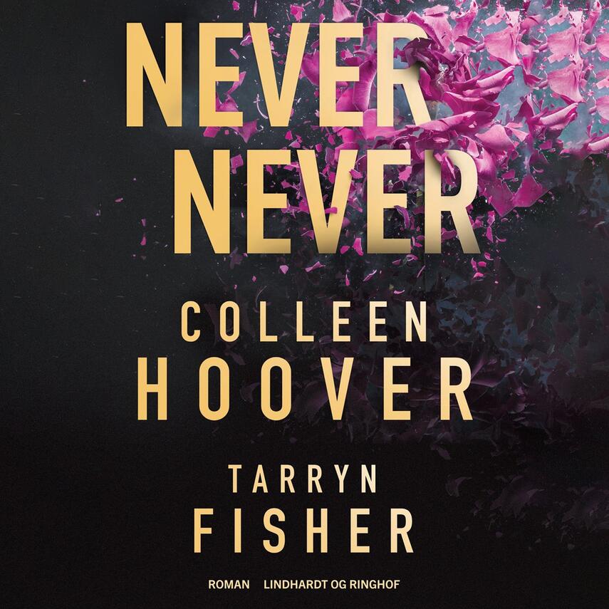 Colleen Hoover, Tarryn Fisher: Never never