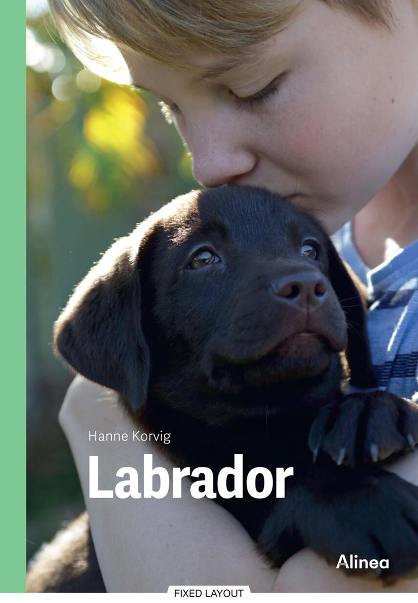 Hanne Korvig: Labrador
