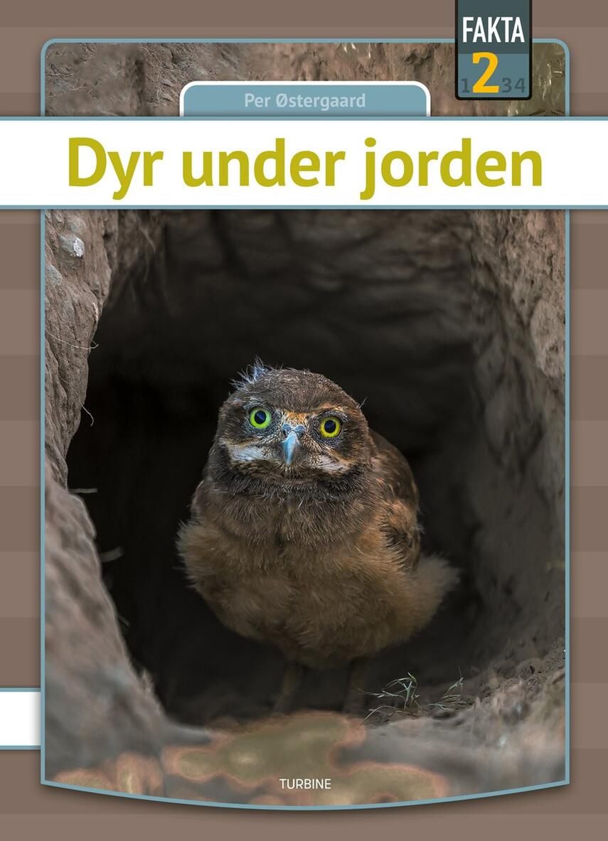 Per Østergaard (f. 1950): Dyr under jorden