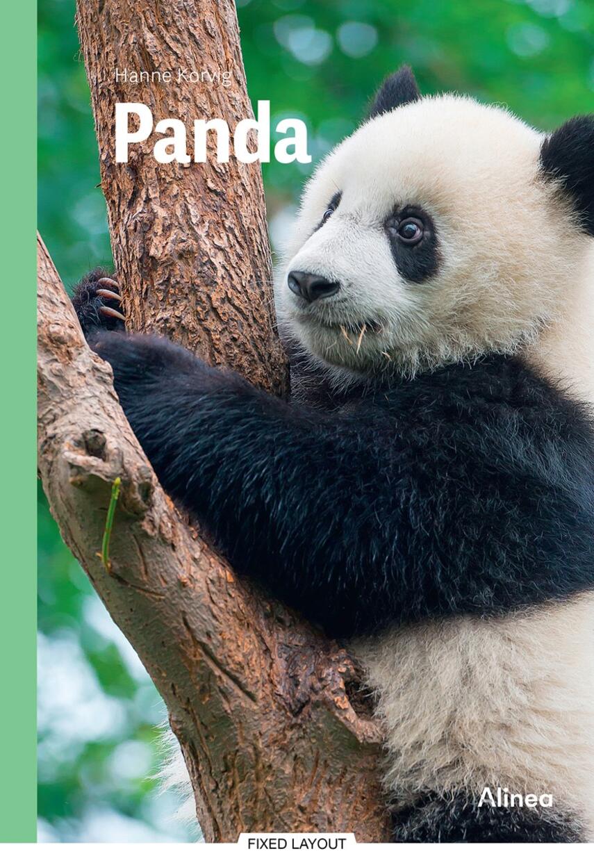 Hanne Korvig: Panda