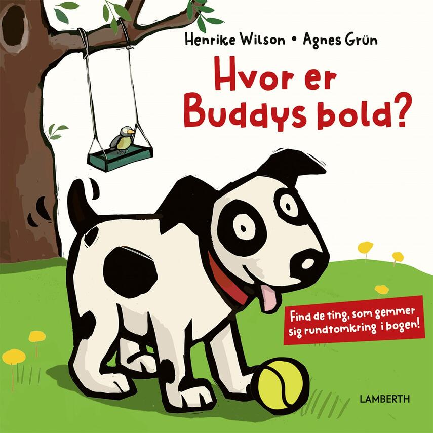 Henrike Wilson, Agnes Grün: Hvor er Buddys bold?