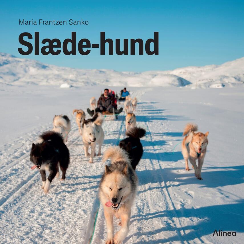 Maria Frantzen Sanko: Slæde-hund