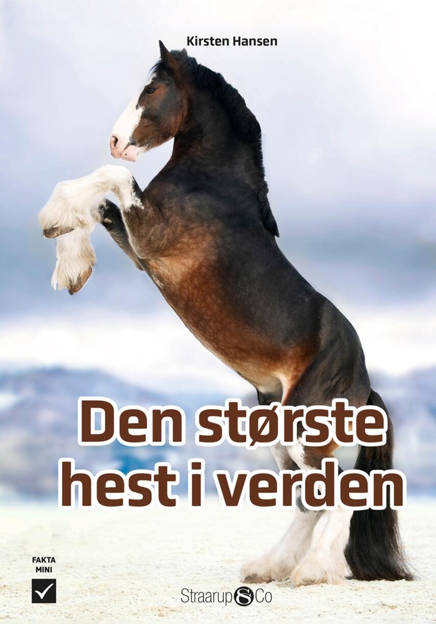 Kirsten Hansen (f. 1969-02-25): Den største hest i verden