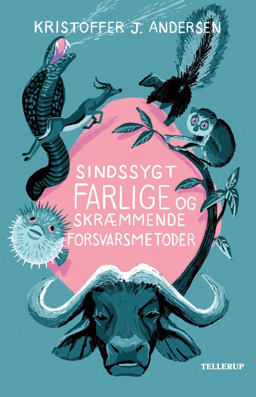 Kristoffer Jacob Andersen: Sindssygt farlige og skræmmende forsvarsmetoder