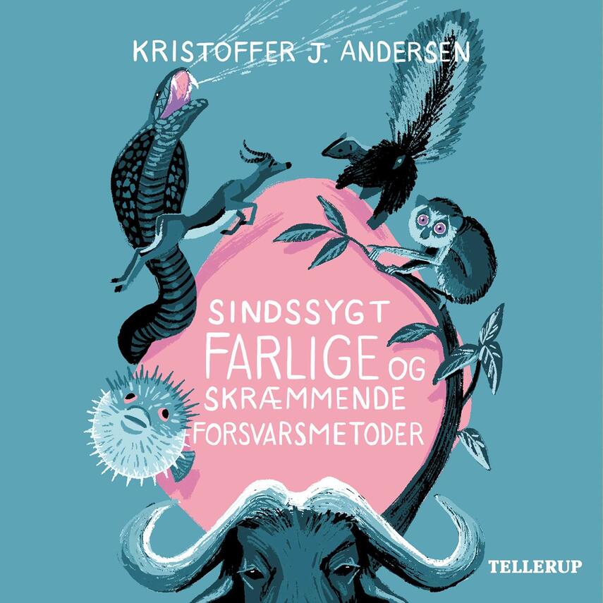 Kristoffer Jacob Andersen: Sindssygt farlige og skræmmende forsvarsmetoder