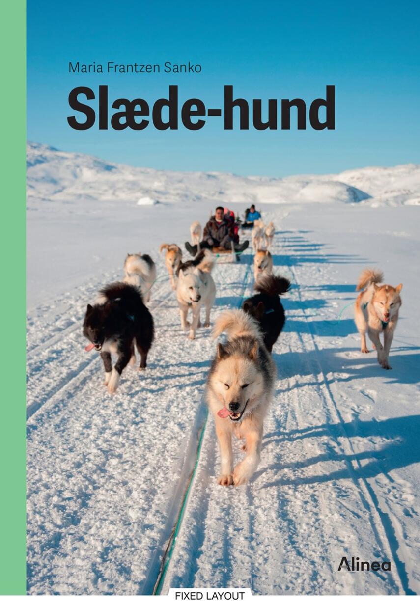 Maria Frantzen Sanko: Slæde-hund