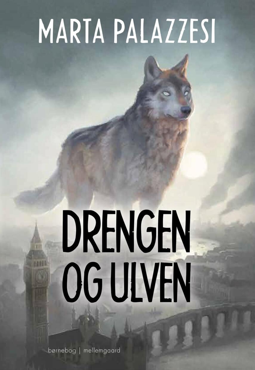 Marta Palazzesi: Drengen og ulven : børnebog