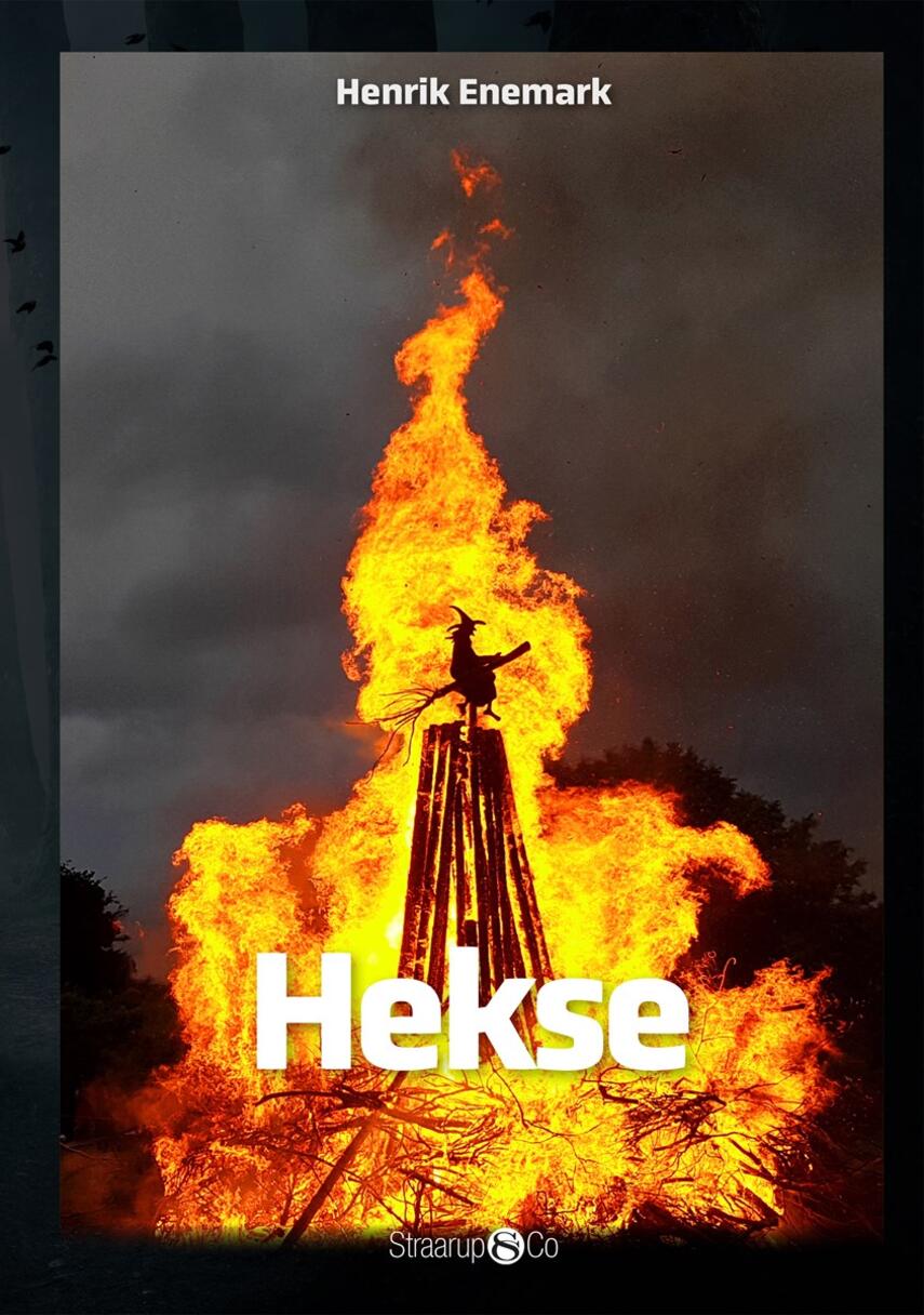 Henrik Enemark: Hekse