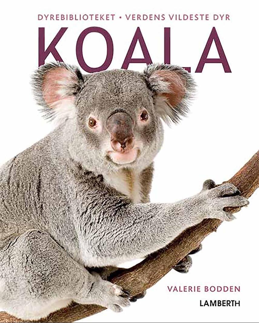 Valerie Bodden: Koala