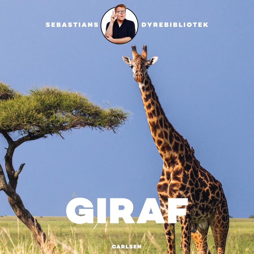 Sebastian Klein: Giraf