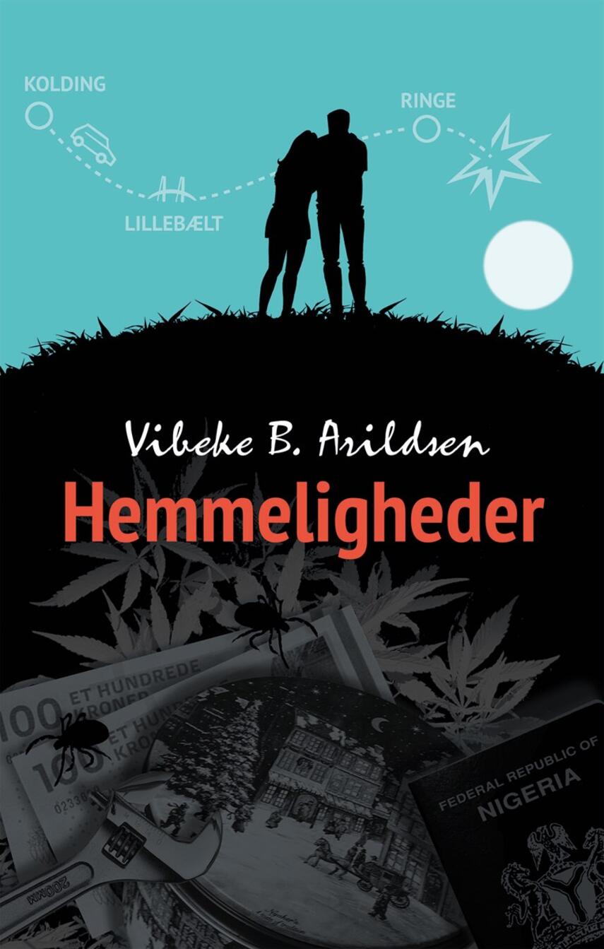 Vibeke Bruun Arildsen: Hemmeligheder
