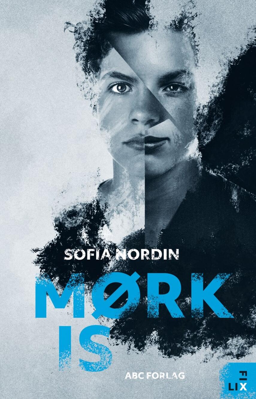 Sofia Nordin: Mørk is