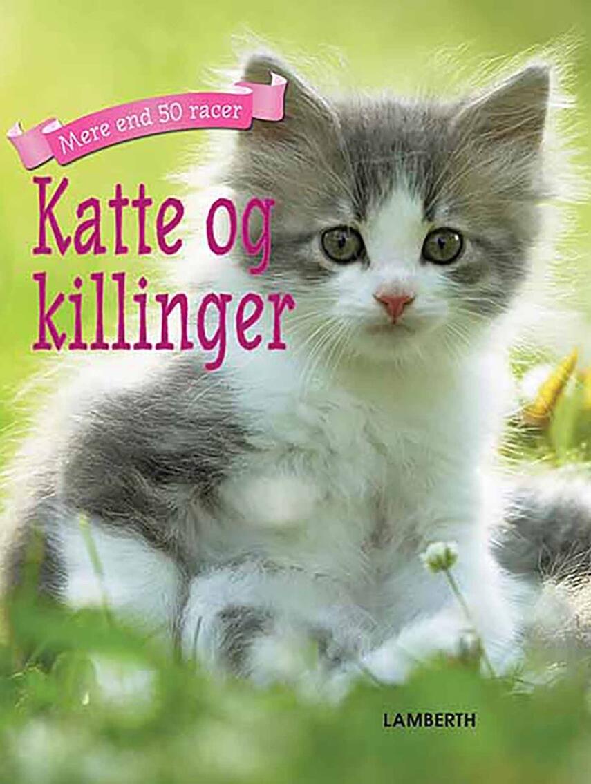 Christian Lamberth: Katte og killinger