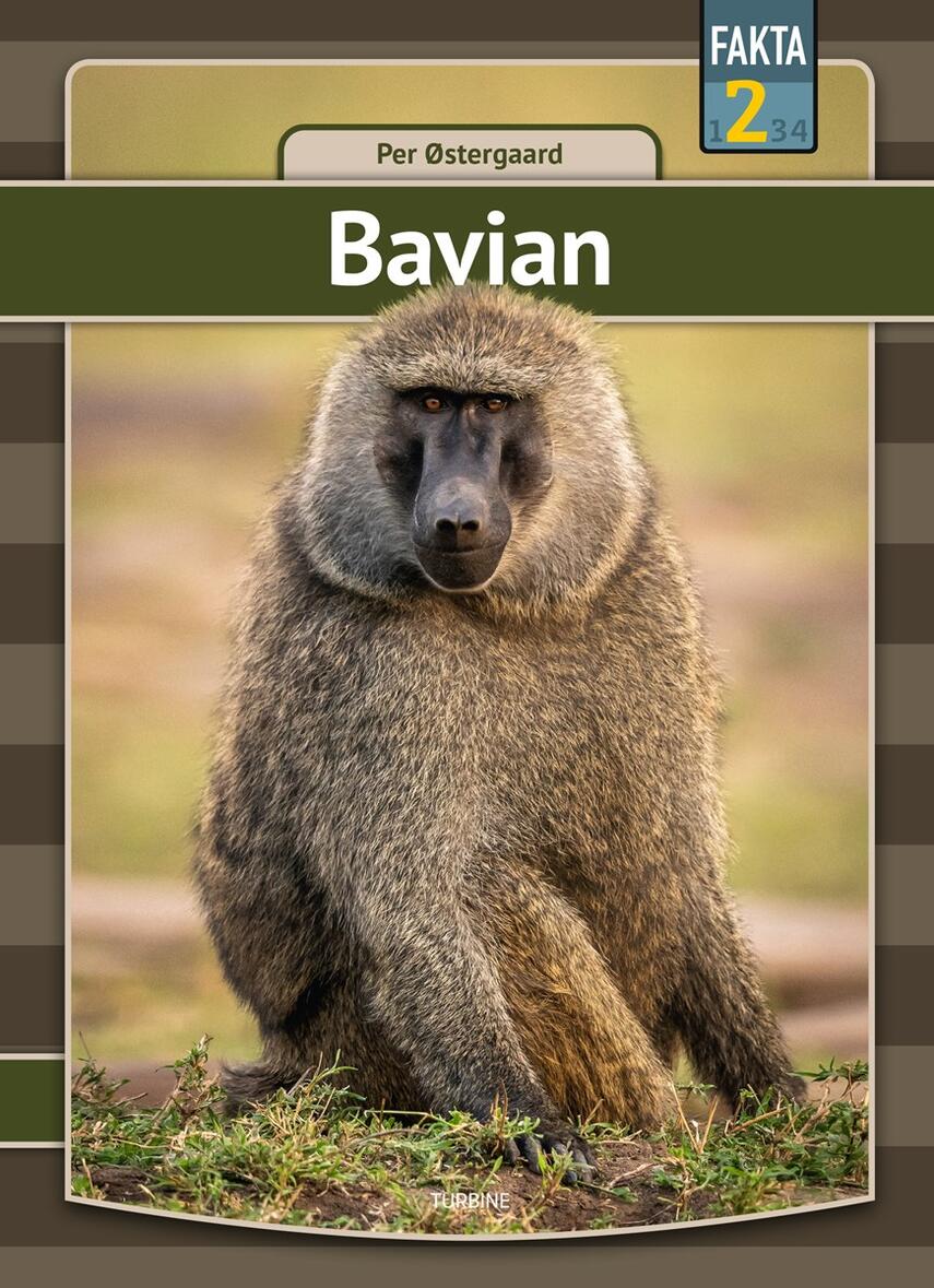 Per Østergaard (f. 1950): Bavian