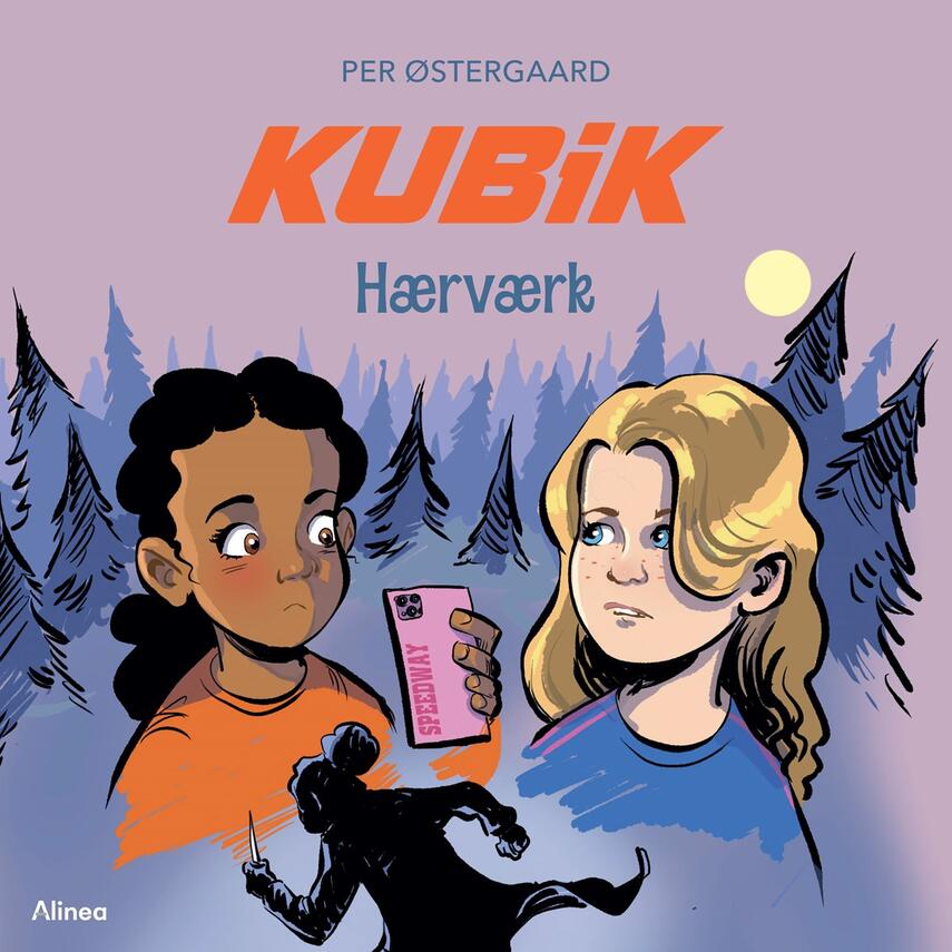 Per Østergaard (f. 1950): Kubik - hærværk